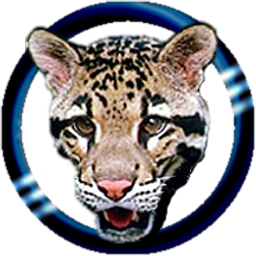 Ocelot
