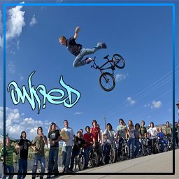 BMXER Owned