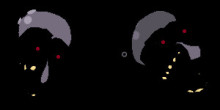 STARVED NIGHTMARE