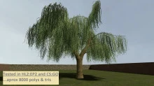 Weeping_Willow_01