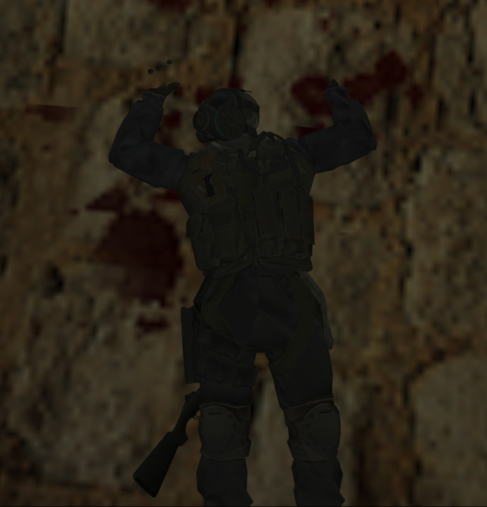CS2 CT team for CS 1.6 (SAS) 3D Model