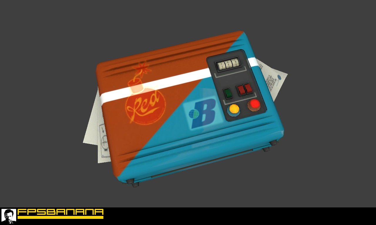 Neutral Flag Skin