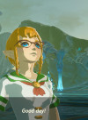 Linkle Glasses - Set of the Wind