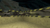 100-90_64330720e2c49.jpg
