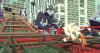 Super Shadow Generations Release Mod for Shadow Generations ...