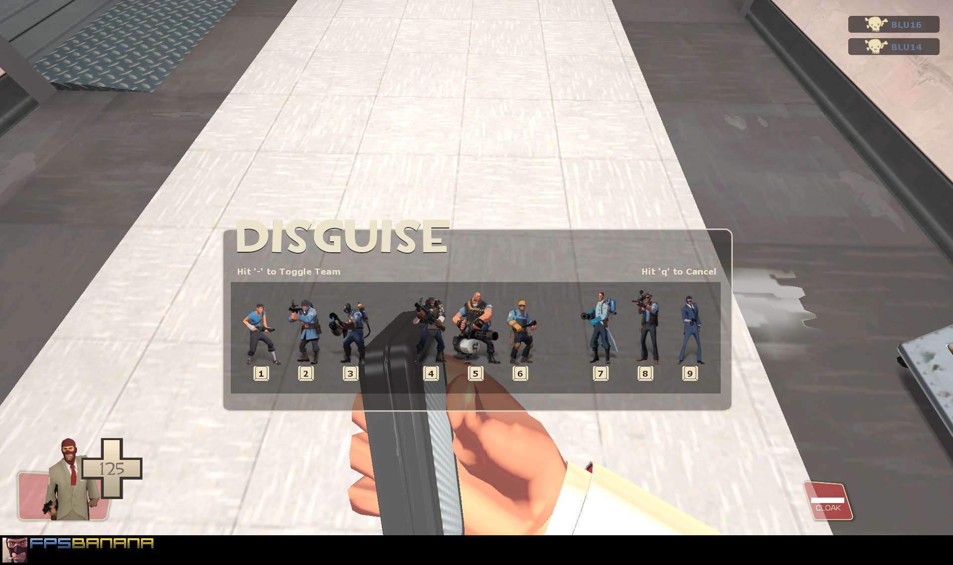 TF2FTW's Disguise Case
