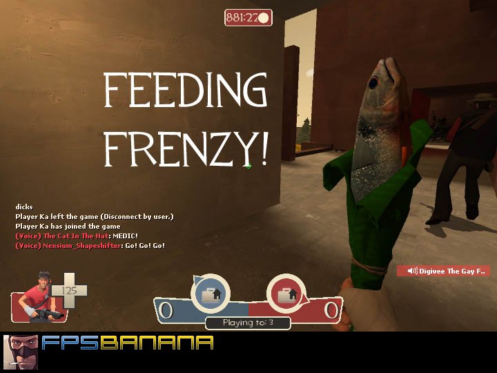 The Feeding Frenzy