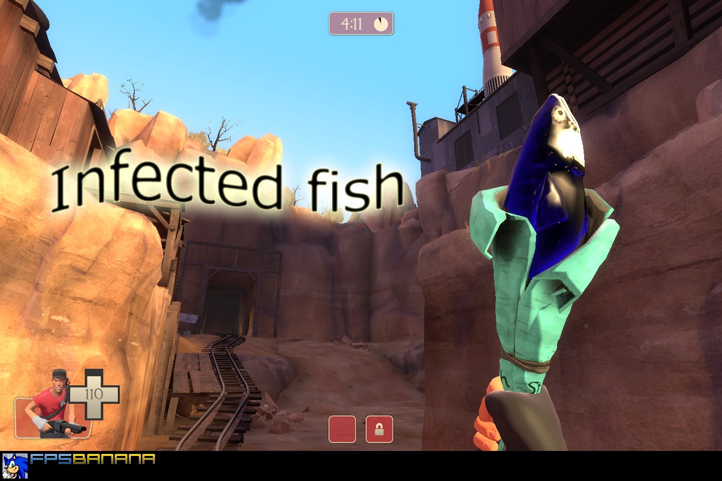 Infected Fish