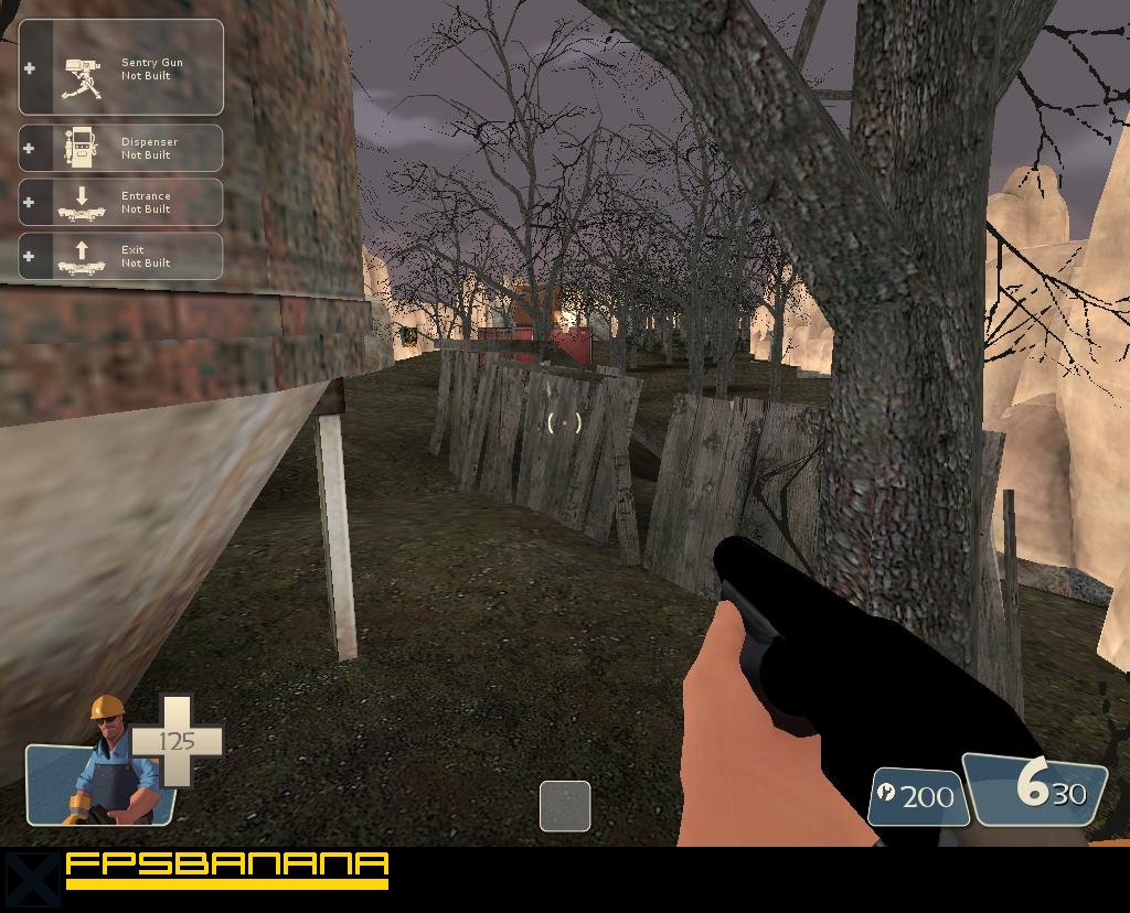 cp_dizzyforest2
