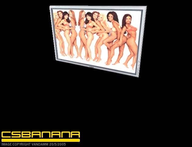 Playboy Bikini Plasma