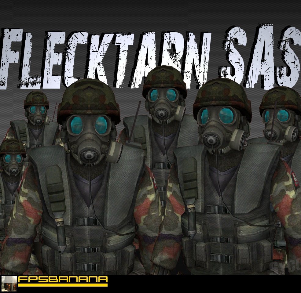 Flecktarn camo SAS