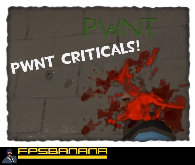 PWNT Criticals