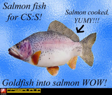 Salmon fish for goldfish