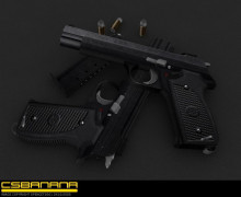 Tub's P210