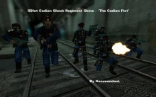 501st Cadian Shock Regiment - 'The Cadian Fist'