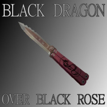 Black Dragon over Black Rose