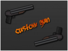 Custom Gun