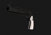 Single Barreled Revolver