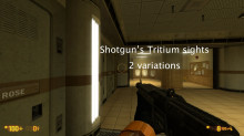 Shotgun's Tritium sights