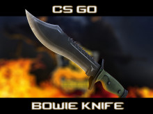 CS GO Bowie Knife