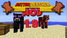 Better Leather 1.8