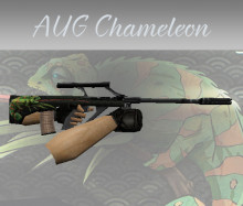 Default AUG | Chameleon