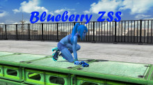 Blueberry ZSS