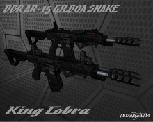 DBR AR-15 Gilboa Snake Custom - King Cobra
