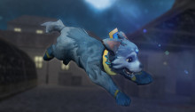 Aurora Wolf Puppy