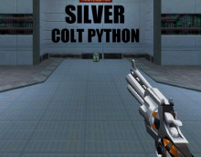Silver Colt Python