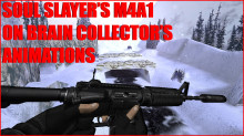 Soul Slayer's M4A1 on Brain Collector's animations