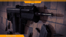 Kel-Tec RFB