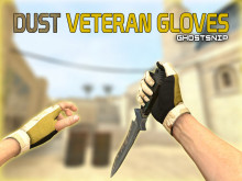 Dust Veteran Gloves