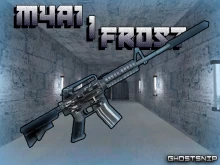 M4A1 | Frost