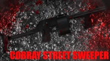 Cobray Street Sweeper