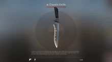 CS20 Classic Knife