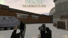 2 Hyper Deagle Reanimations