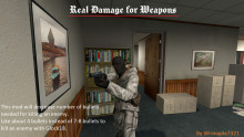 Real damage for Weapons