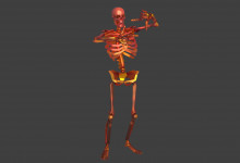Skeleton Sniper (Fixed)