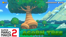 Acorn Tree