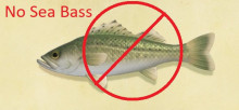 No Sea Bass