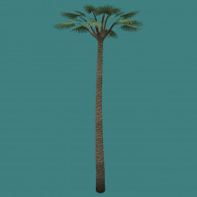 Replacement for palmtree