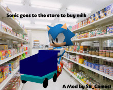 Sonic goes to the store to buy milk
