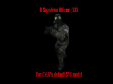 B Squadron Officer - SAS