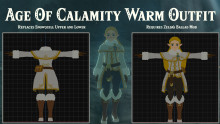Zelda's Ballad: Age Of Calamity Warm Outfit