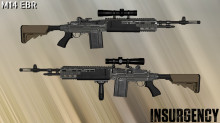 INS M14 for SG550