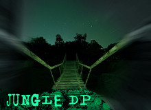 Jungle DP