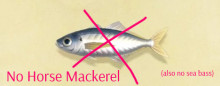 No Horse Mackerel (Or sea bass)