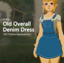 Linkle Overall Denim Dress