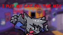 CAT ON THE MIC (Custom Song)